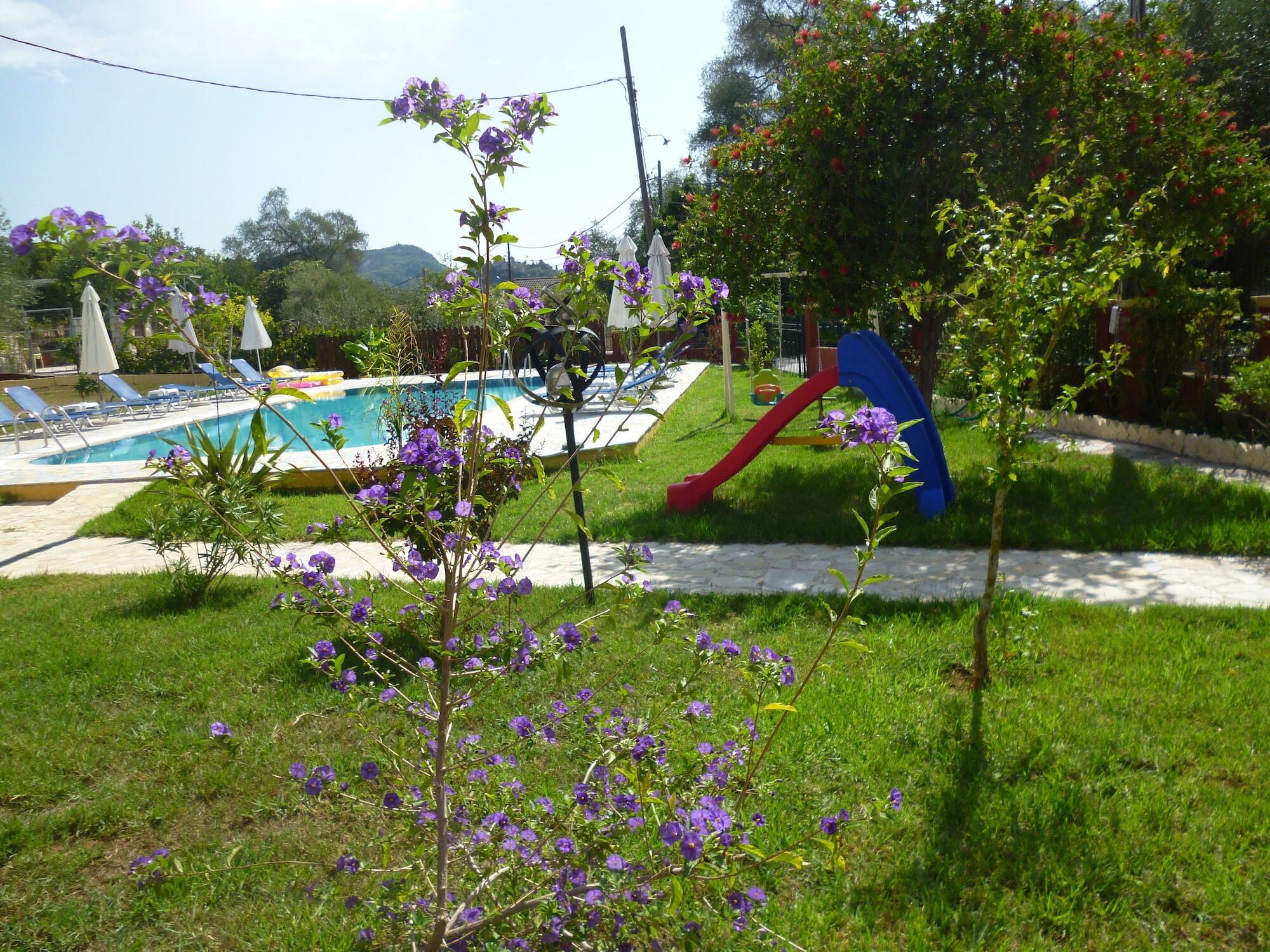 Dimas V House Aparthotel Parga Buitenkant foto